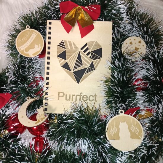 WhatsApp Image 2025-12-07 at 18.11.57 (1)